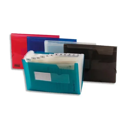 Illustration of product : Lot de 12 - Trieur en plastique 13 compartiments, pochettes pour cartes de visite, coloris assortis (1)