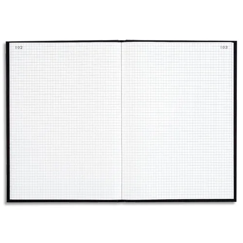 Illustration of product : LE DAUPHIN Registre corrige couverture Noire 22,5x35 cm 300 pages quadrillé 5x5 (1)