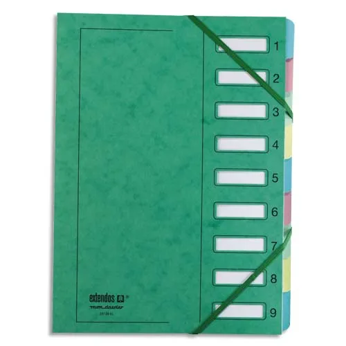 Illustration of product : EXTENDOS Trieur en carte forte vernie 9 compartiments Vert MON DOSSIER (1)