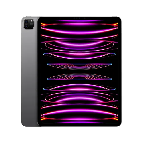iPad Pro 12,9P 1To - Gris sidéral - Ecran face