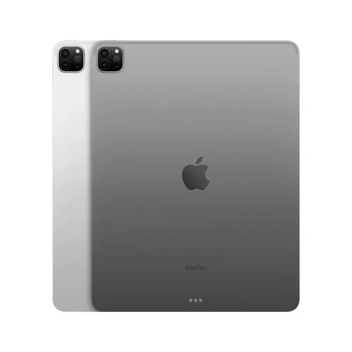 iPad Pro 12,9P 2To - Gris sidéral - Dos