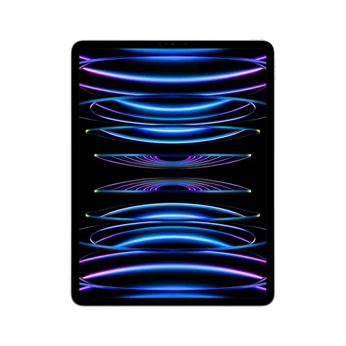 iPad Pro 12,9P Wi-Fi 512 Go - Argent - Face