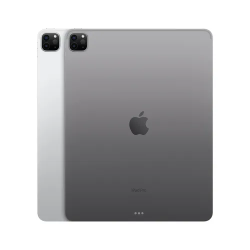 iPad Pro 12,9P Wi-Fi 512 Go - Argent - Dos