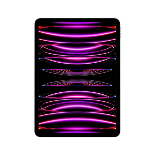 iPad Pro 11P Wi‑Fi 2 To - Gris sidéral - Face