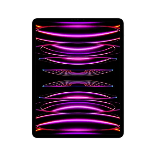Illustration of product : iPad Pro 12,9P 256 Go - Gris sidéral (1)