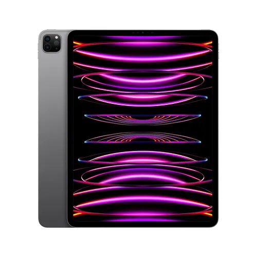 Illustration of product : iPad Pro 12,9P 256 Go - Gris sidéral (2)