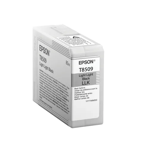 Illustration of product : EPSON Singlepack Light Light Black T850900 UltraChrome HD ink 80ml (1)