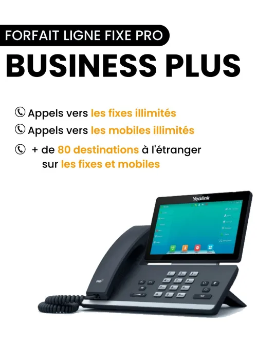 business plus
