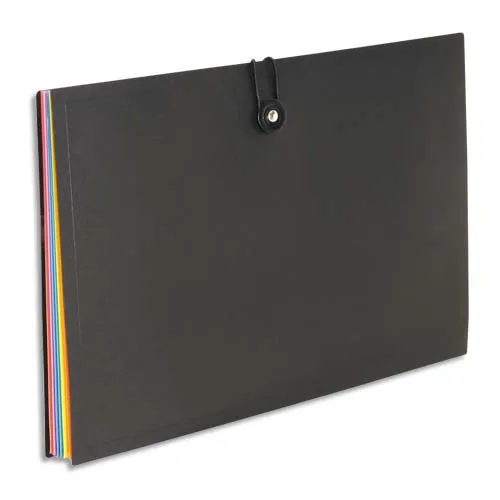 Illustration of product : VIQUEL Trieur horizontal RAINBOW 8 compartiments en polypro 8/10, Noir intérieur multicolore (1)