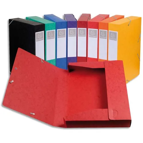 EXACOMPTA Boîte de classement, coloris assortis