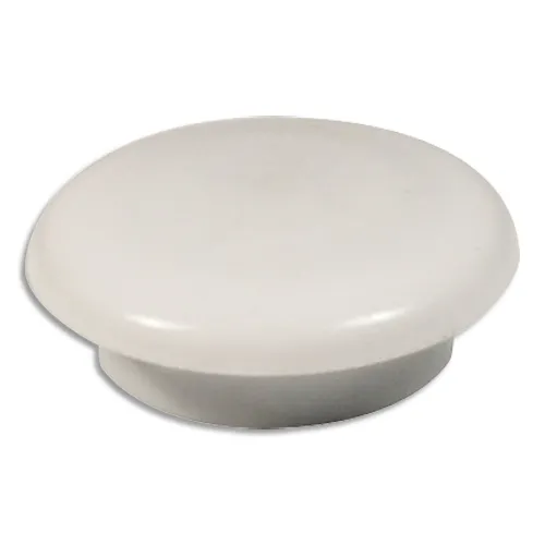 Illustration of product : Boîte de 7 aimants 20 mm ronds Blanc (1)