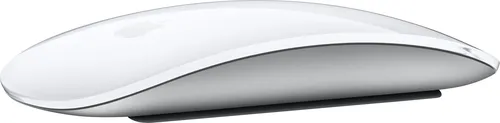 Illustration of product : Magic Mouse (1)