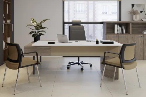 Bureau de direction Duo