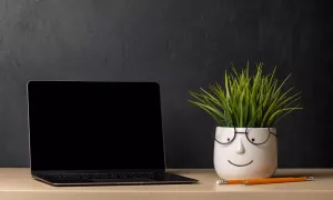 Green it
