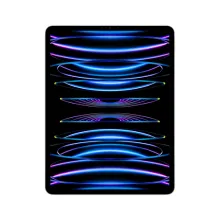 iPad Pro 12,9P Wi-Fi 256 Go - Argent