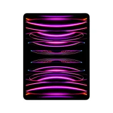 iPad Pro 12,9P 512 Go - Gris sidéral
