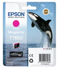 EPSON T7603 cartouche dencre magenta vif haute capacité 25,9ml 1356 pages pack de 1