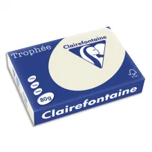CLAIREFONTAINE Ramette de 500 feuilles papier couleur TROPHEE A4 Gris perle
