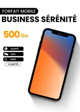 Forfait mobile Business sérénité 500Go