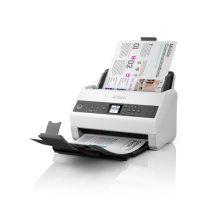 Epson WF DS730N